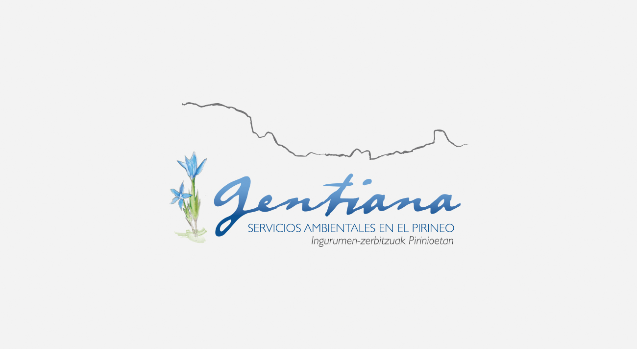 Marca-Gentiana-Pirineo-Junna-Branding
